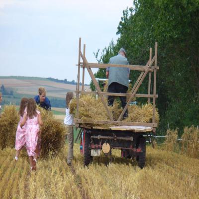 Foto des Albums: Feldtag 2006
