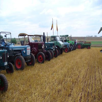Foto des Albums: Feldtag 2006