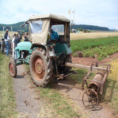 Foto des Albums: Feldtag 2006