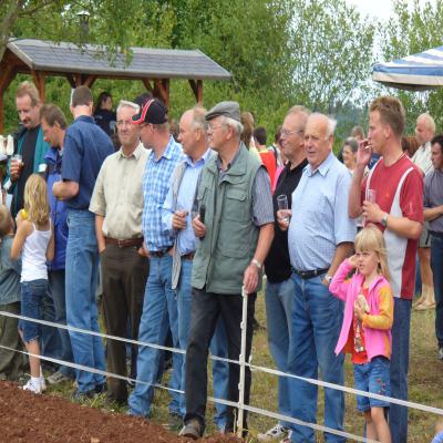 Foto des Albums: Feldtag 2006