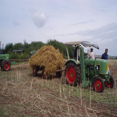 Foto des Albums: Feldtag 2006