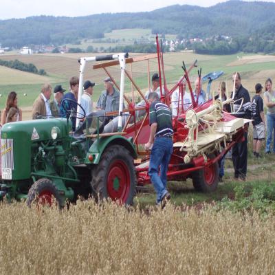 Foto des Albums: Feldtag 2006