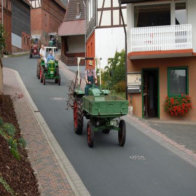 Foto des Albums: Feldtag 2007