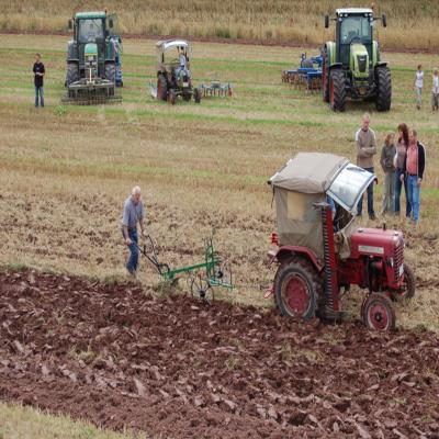 Foto des Albums: Feldtag 2007