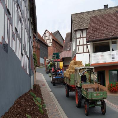 Foto des Albums: Feldtag 2007