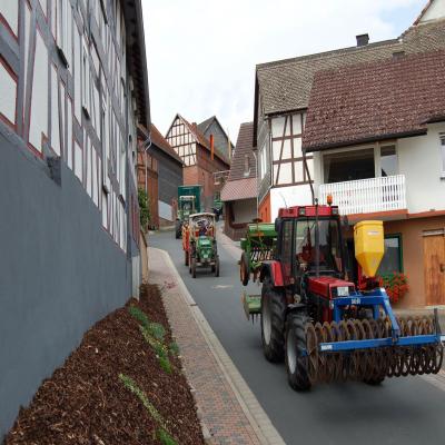Foto des Albums: Feldtag 2007