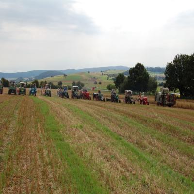 Foto des Albums: Feldtag 2007