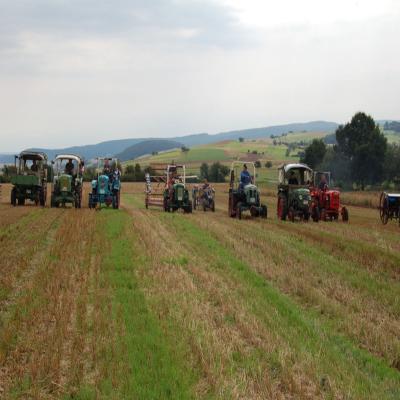 Foto des Albums: Feldtag 2007