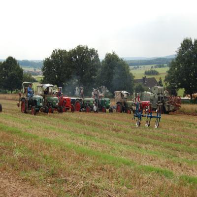 Foto des Albums: Feldtag 2007