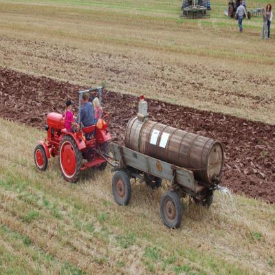 Foto des Albums: Feldtag 2007