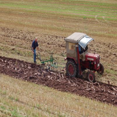 Foto des Albums: Feldtag 2007