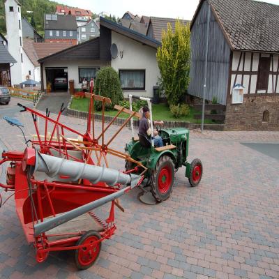 Foto des Albums: Feldtag 2007