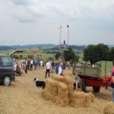 Foto des Albums: Feldtag 2007