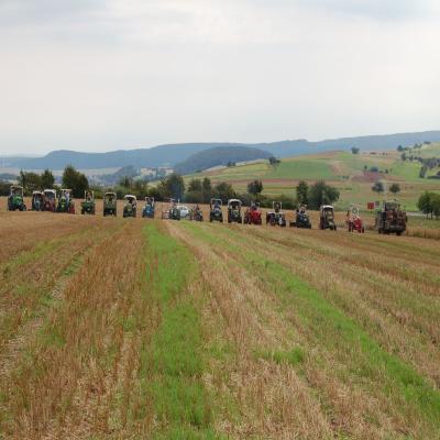 Foto des Albums: Feldtag 2007
