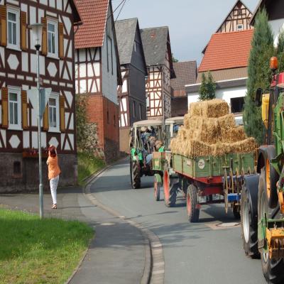 Foto des Albums: Feldtag 2007