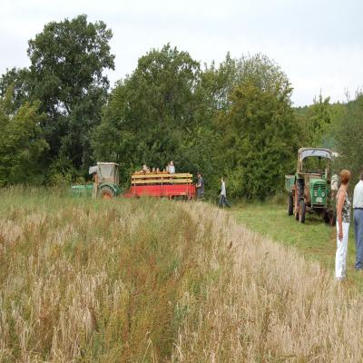 Foto des Albums: Feldtag 2007