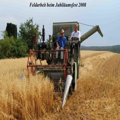 Foto des Albums: Feldtag 2008