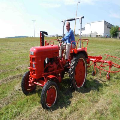 Foto des Albums: Feldtag 2008
