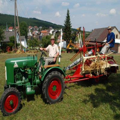 Foto des Albums: Feldtag 2008