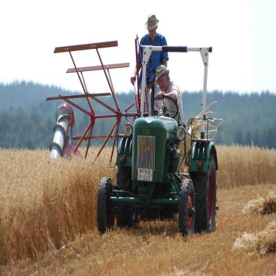 Foto des Albums: Feldtag 2008