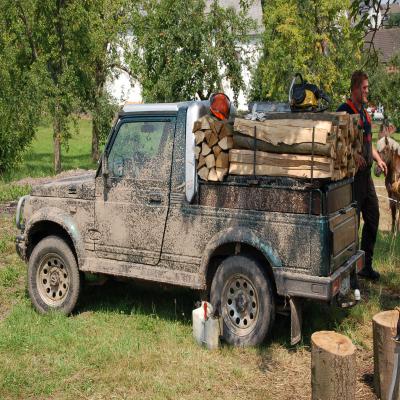Foto des Albums: Feldtag 2008