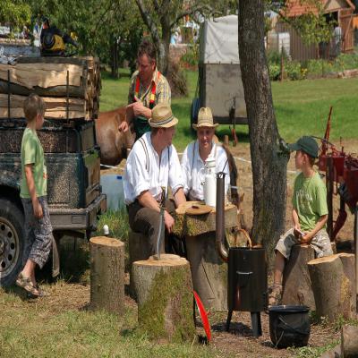 Foto des Albums: Feldtag 2008