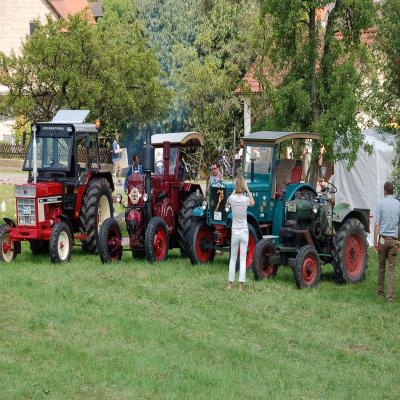 Foto des Albums: Feldtag 2008