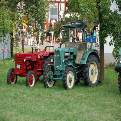 Foto des Albums: Feldtag 2008