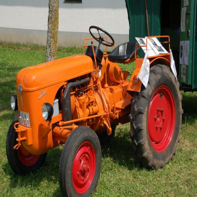 Foto des Albums: Feldtag 2008