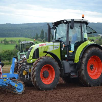 Foto des Albums: Feldtag 2011