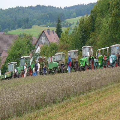 Foto des Albums: Feldtag 2011