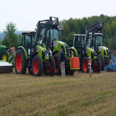 Foto des Albums: Feldtag 2011
