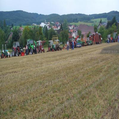 Foto des Albums: Feldtag 2011