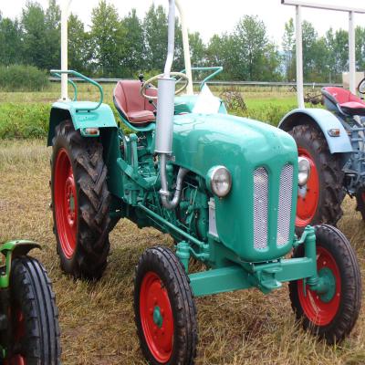 Foto des Albums: Feldtag 2011