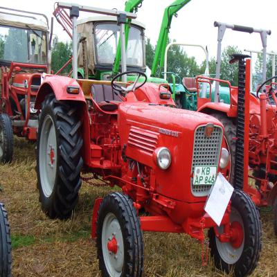 Foto des Albums: Feldtag 2011