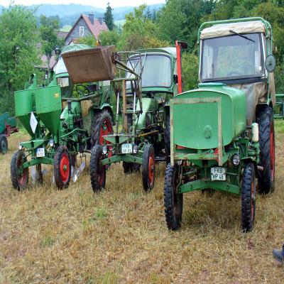 Foto des Albums: Feldtag 2011