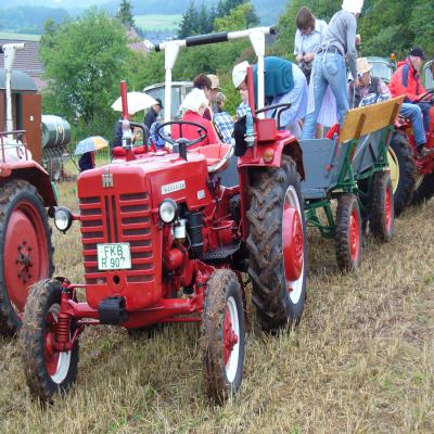 Foto des Albums: Feldtag 2011