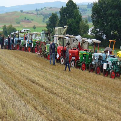 Foto des Albums: Feldtag 2011