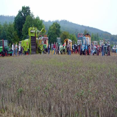 Foto des Albums: Feldtag 2011