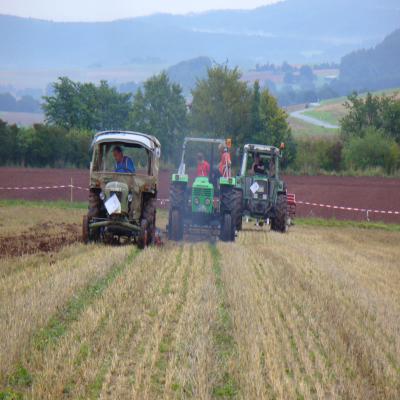 Foto des Albums: Feldtag 2011