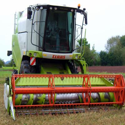 Foto des Albums: Feldtag 2011