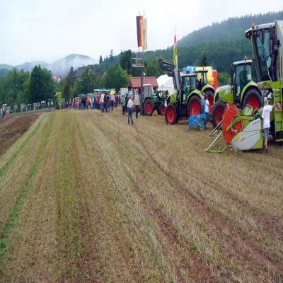 Foto des Albums: Feldtag 2011