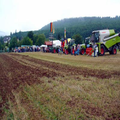 Foto des Albums: Feldtag 2011