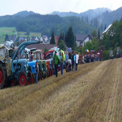 Foto des Albums: Feldtag 2011