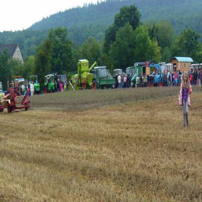 Foto des Albums: Feldtag 2011