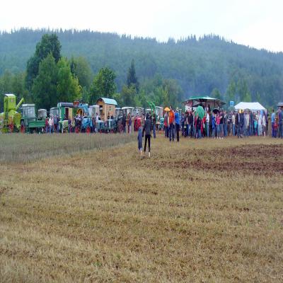 Foto des Albums: Feldtag 2011