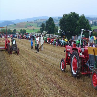 Foto des Albums: Feldtag 2011