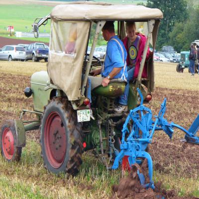 Foto des Albums: Feldtag 2011