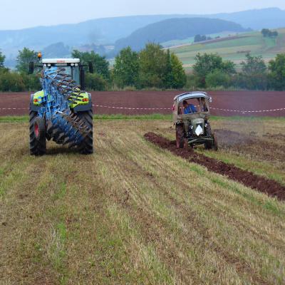 Foto des Albums: Feldtag 2011