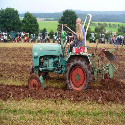 Foto des Albums: Feldtag 2011